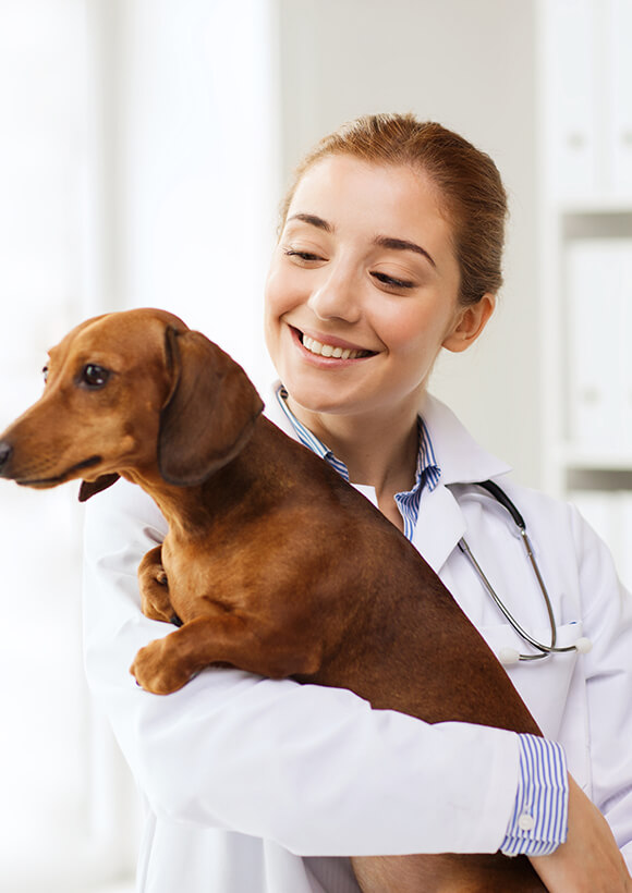 testimonial-another-side-image-1