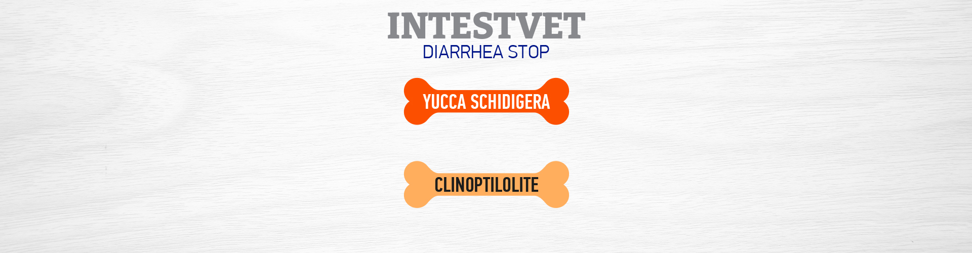 Интествет слайд 2